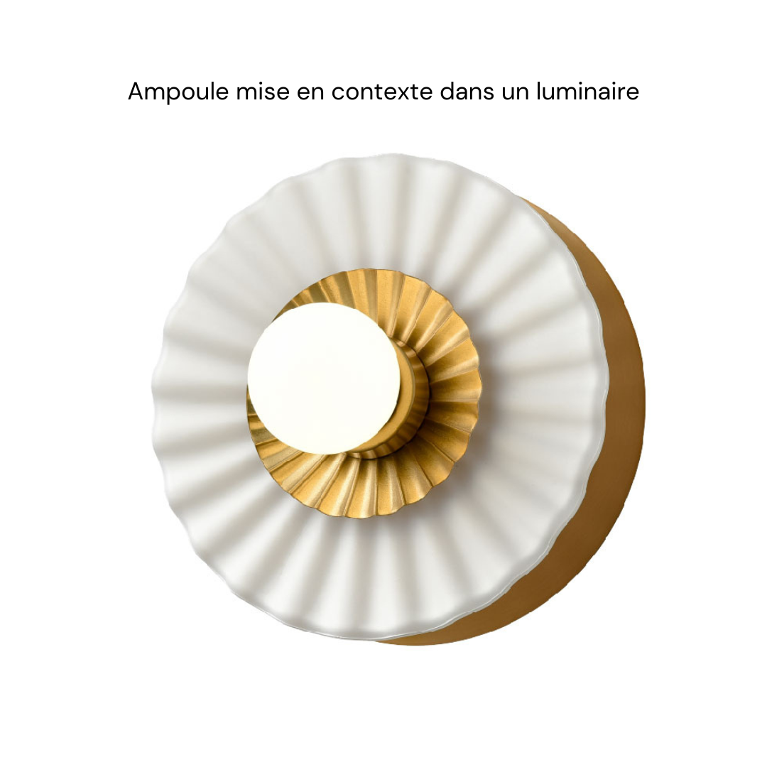 Ampoules 23
