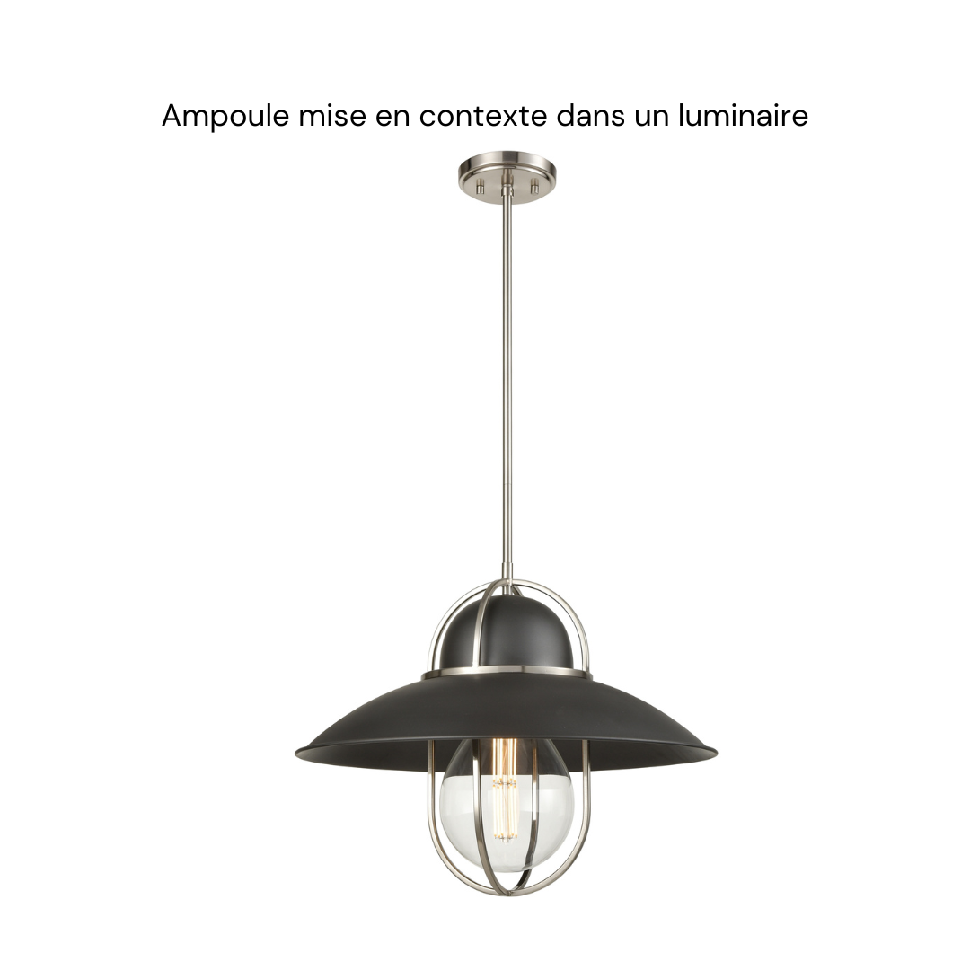 Ampoules 24