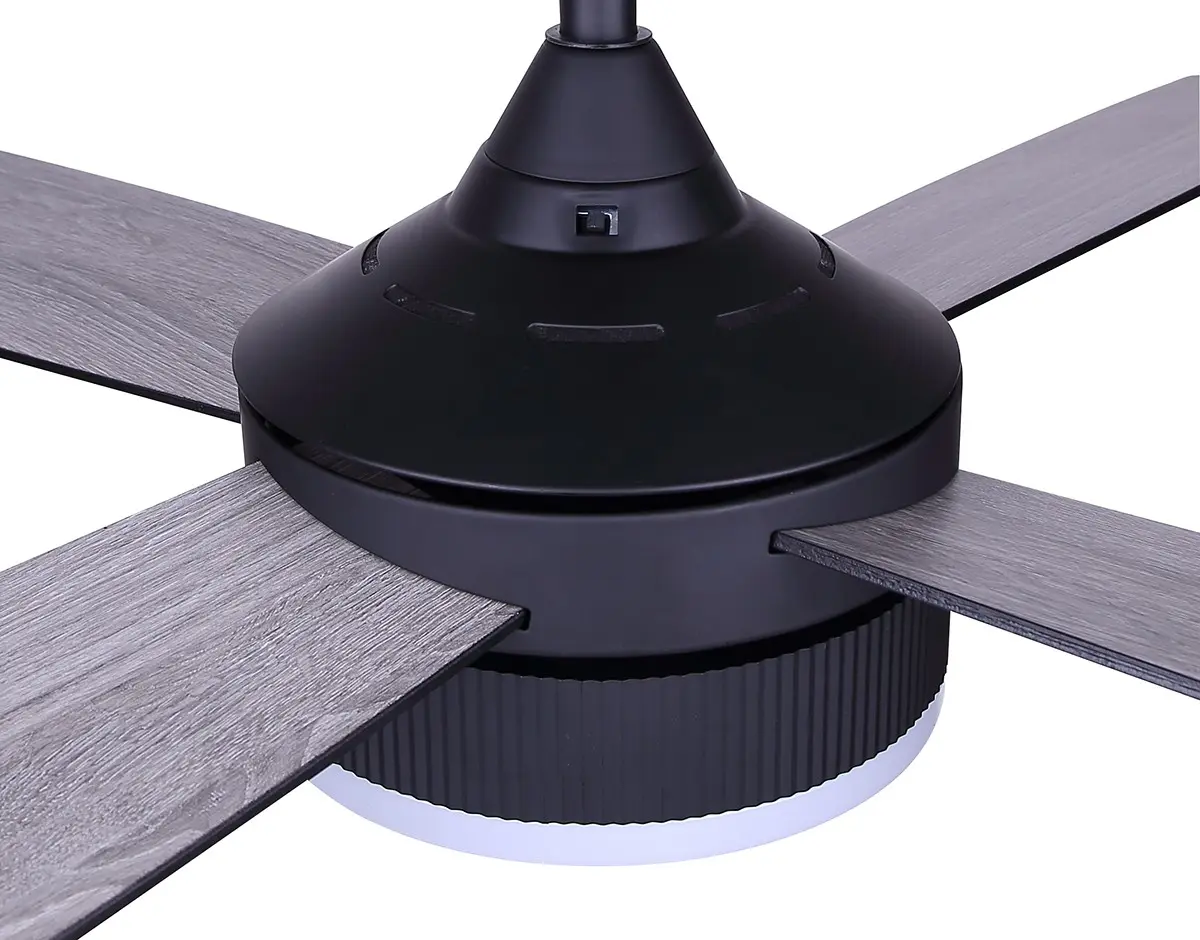 cf52aur4bk_detail3